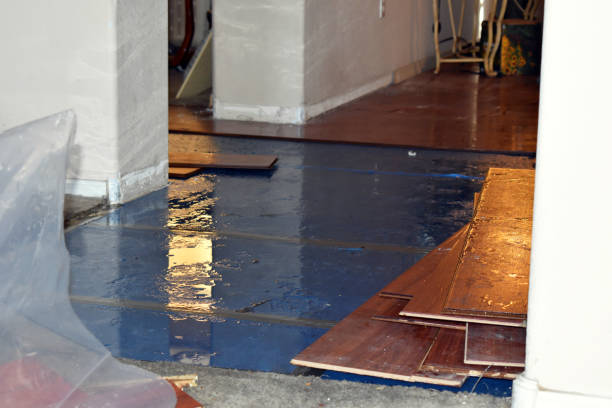 Professional Sewage Cleanup technician working in Hilltop, MN